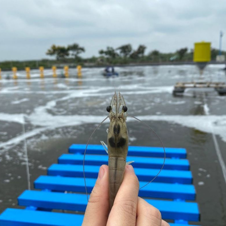 Relaxed Farming